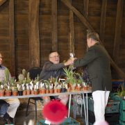 Ruislip-Central-Horticultural-Society-Autumn-Show-202421