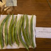 Ruislip-Central-Horticultural-Society-Autumn-Show-20248