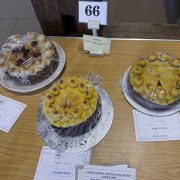 RCHS_SPRING-SHOW-2024-2-2
